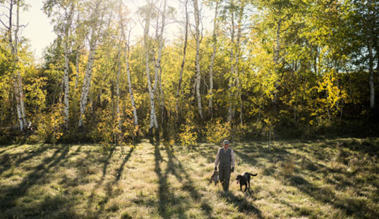 Dog Handler