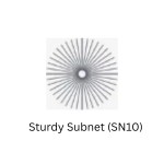 Sturdy Subnet (SN10): Revolutionizing On-Chain Yield Optimization
