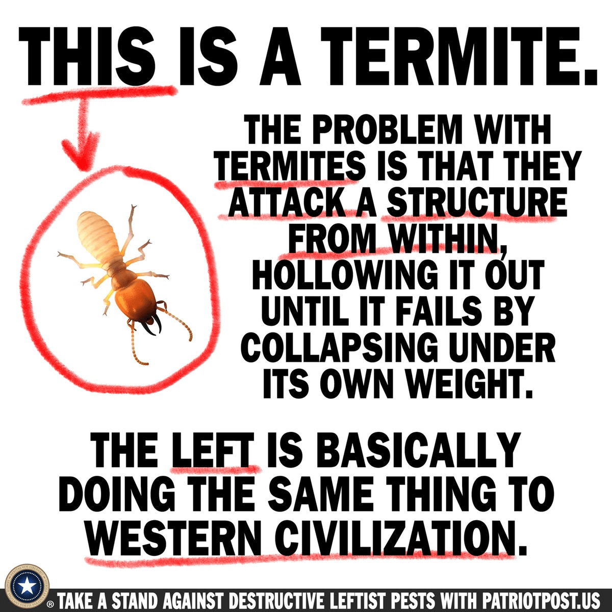 termite