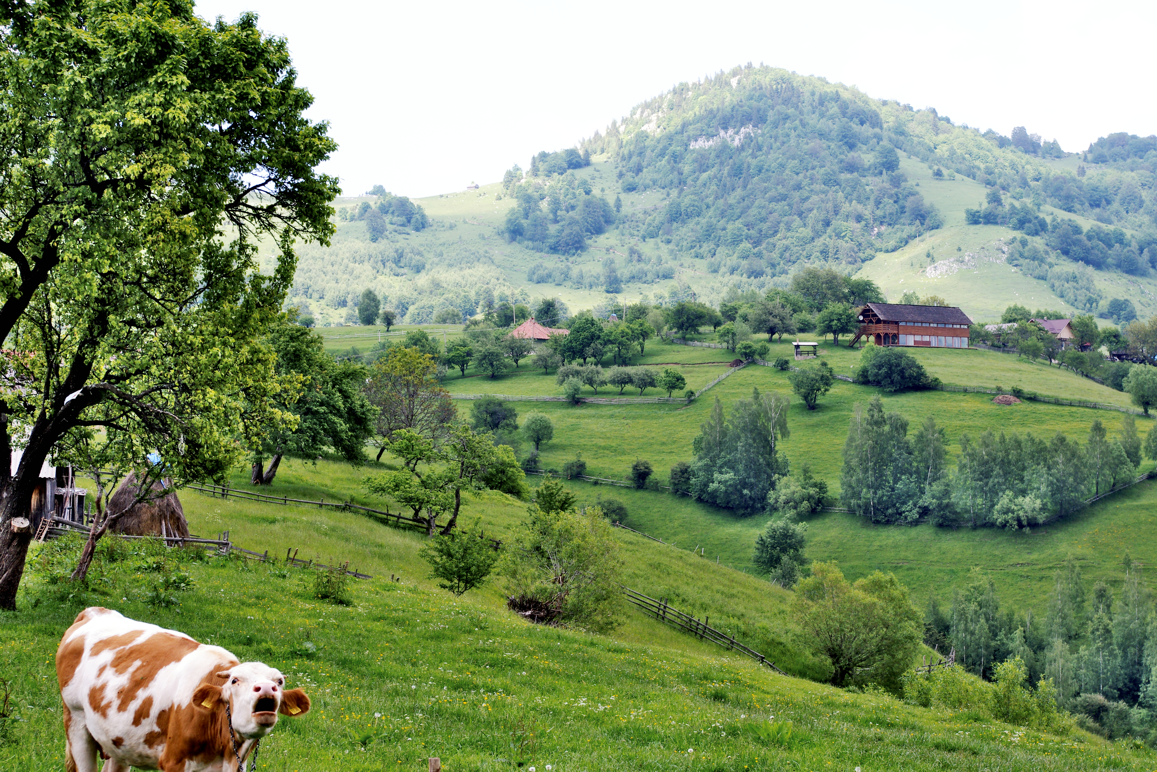 Participare la MONTH OF DESIGN EXHIBITION / BIG SEE 2018 Exhibition of award-winning products and projects of South-East Europe in the fields of product and fashion design, architecture (interior) as well as wood and tourism.