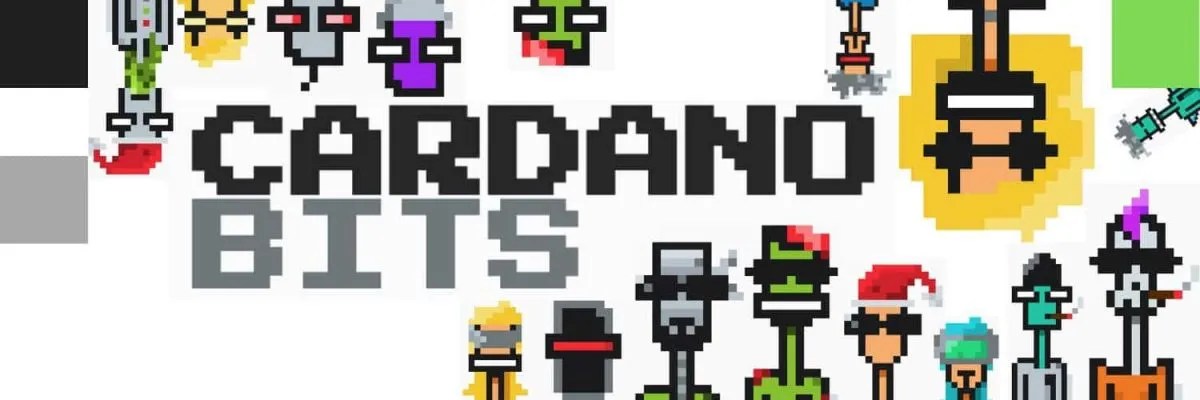 Cardano-CardanoBits