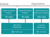 Find Which Apple Developer Program You Need 4d Blog