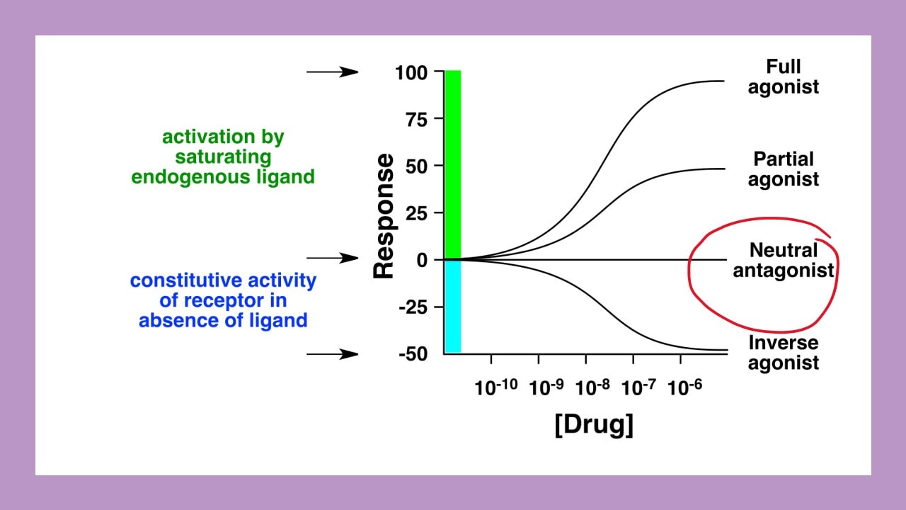 Deciphering Agonists and Antagonists on the USMLE Step 1 Exam