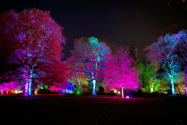 Foresters offers a trusted final expense insurance solution and much more besides. Gardens Filled With Light Illuminate Design Lights Up The Gardens Of The Royal Horticultural Society With Over 500 Cameo Spotlights Event Tech