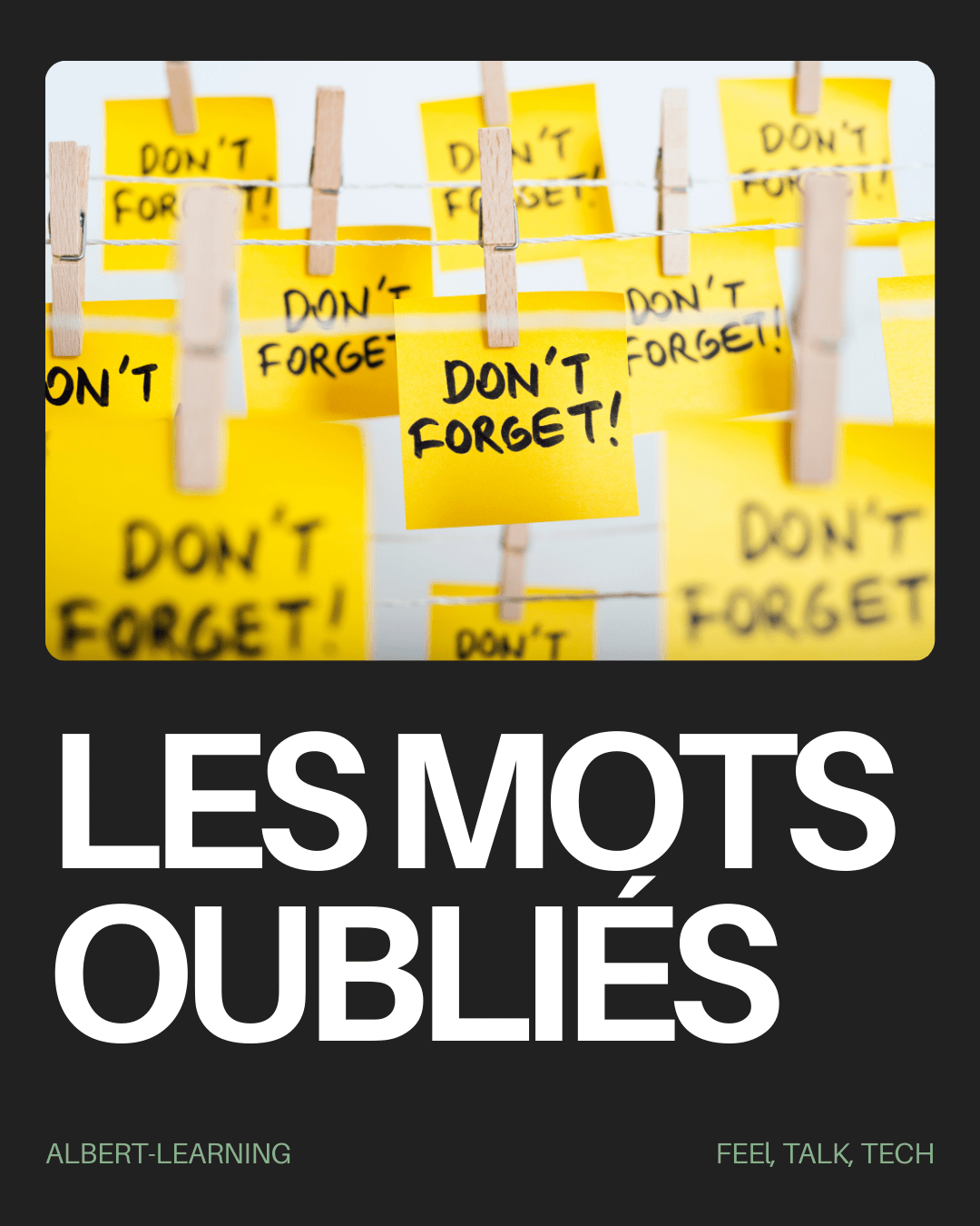 mots_oubliés_albert_learning