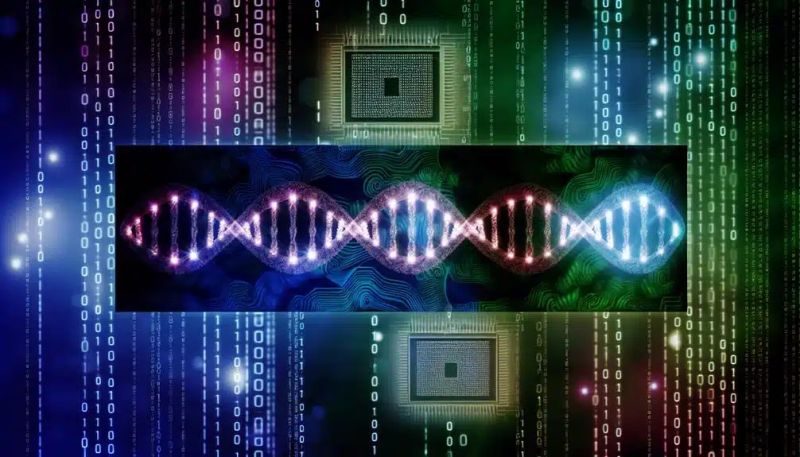 Decoding Ai A Trio Of Genetic Algorithms Blog Algorithm Examples - High Quality Light Photo - 8K