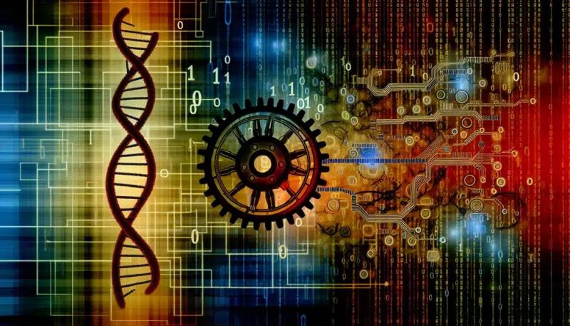 Decoding Ai A Trio Of Genetic Algorithms Blog Algorithm Examples - Best Light Photos in 8K