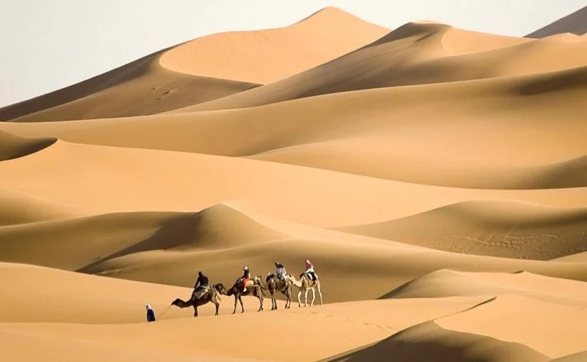 الذايدي وش يرجع وأصل الذايدي من وين