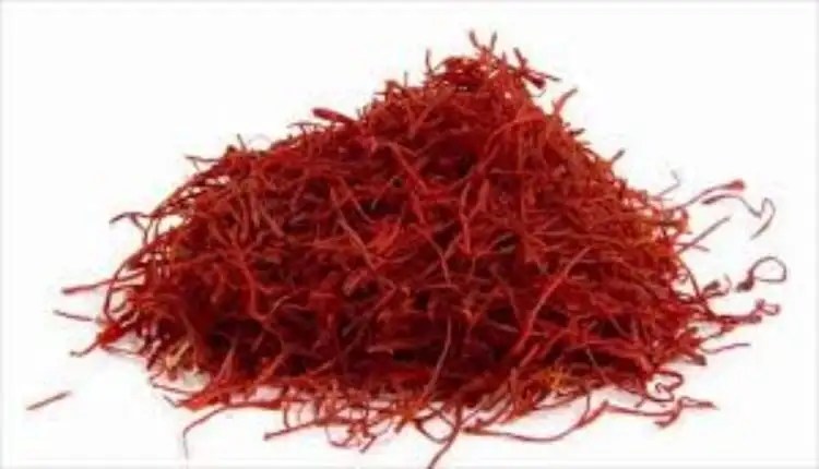 معلومات عن نبات الزعفران