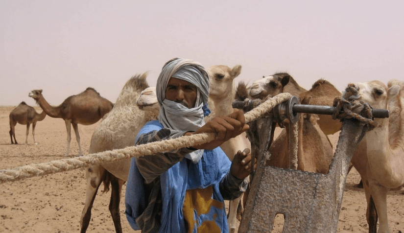 نسب عائلة الدويغرى من وين