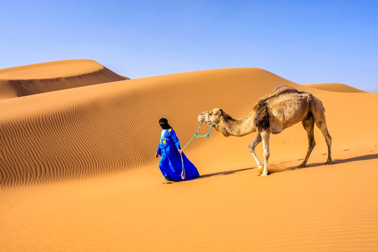 الدياحين وش يرجعون