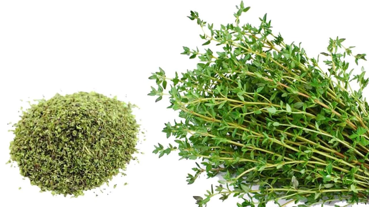 وصفات توضح تجربتي مع الزعتر البري للتنحيف