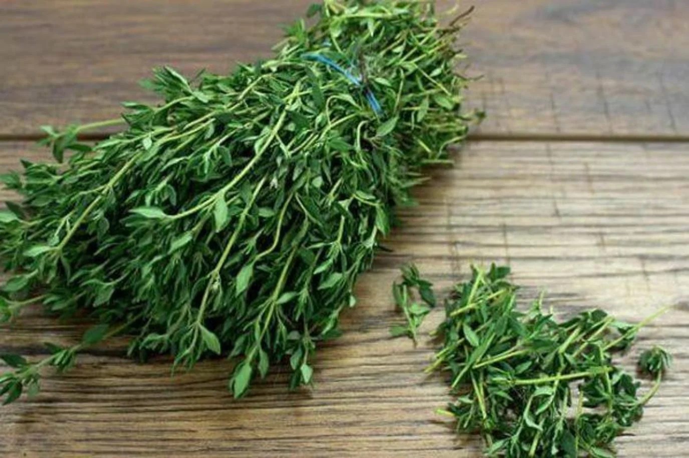 أضرار الزعتر البري وأخطاره على الجسم