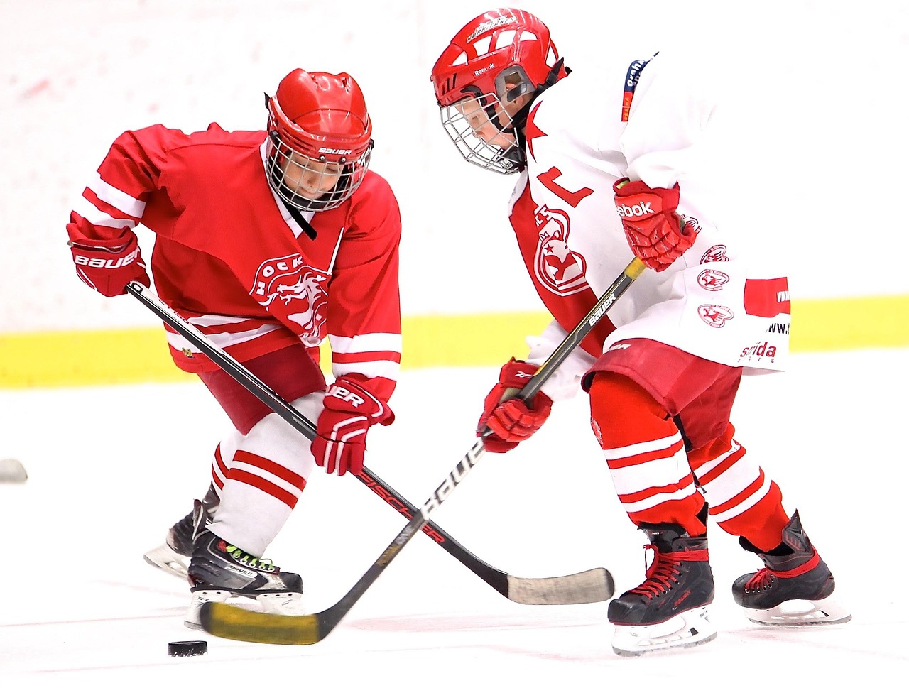 Fairness and Transgender Eligibility in Women's Sport