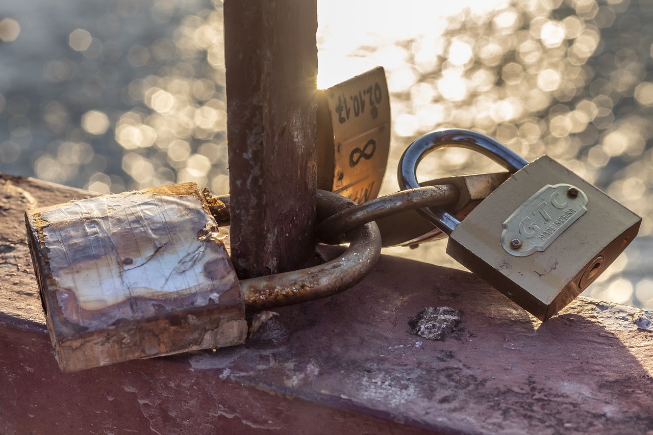 Access Intimacy & Killjoy Kinship