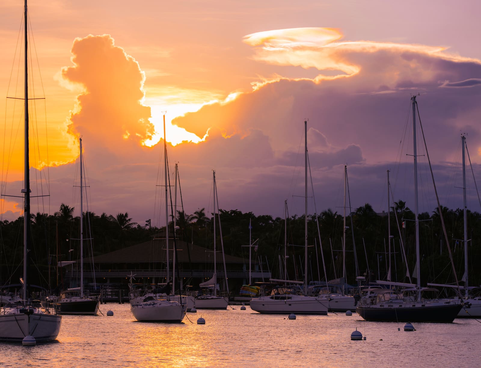 Marina at Coconut Grove Miami