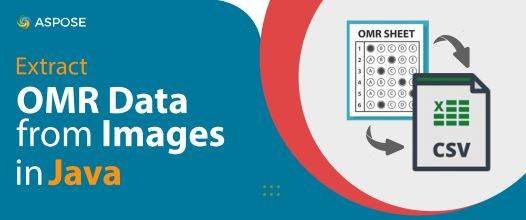 Extract Data From Image In Java Perform Omr On Images - Best Ocean Backgrounds in High Resolution