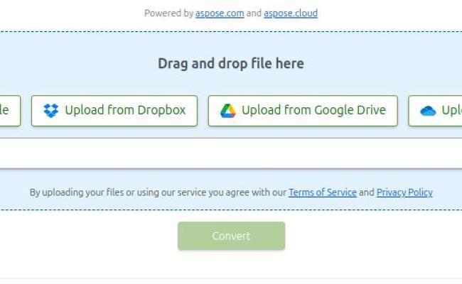 Export MS Project To Excel