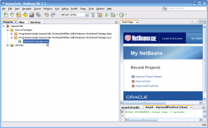 Download And Run Java Code Examples Of Aspose APIs In NetBeans