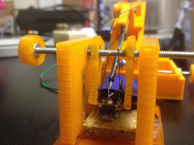 Regardless of any possibilities that lie ahead, this research position