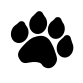 biostar k9 pawprint