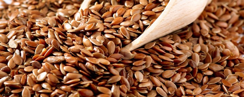 Flax Seeds or Chia Seeds: Which Do I Feed My Horse?