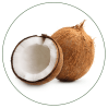 coconut for the horse immune system