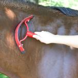 Summertime recovery tips from BioStar: Using a sweat scraper on a horse