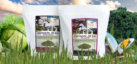 Optimum JS 2.0 and Optimum Senior JS 2.0