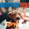 American Pets Alive | BioStar US