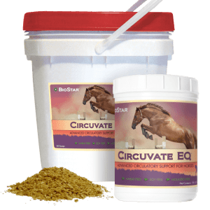 Equine Gastric Ulcer Support & Circuvate EQ | BioStar US