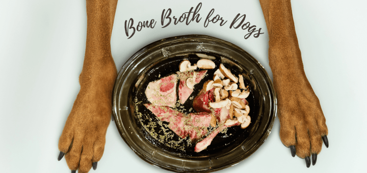 Bone broth ingredients with two outstretched dog paws | BioStar US