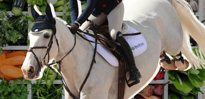 BioStar Horse Jumping Into an Ingredient Basket | BioStar Blog
