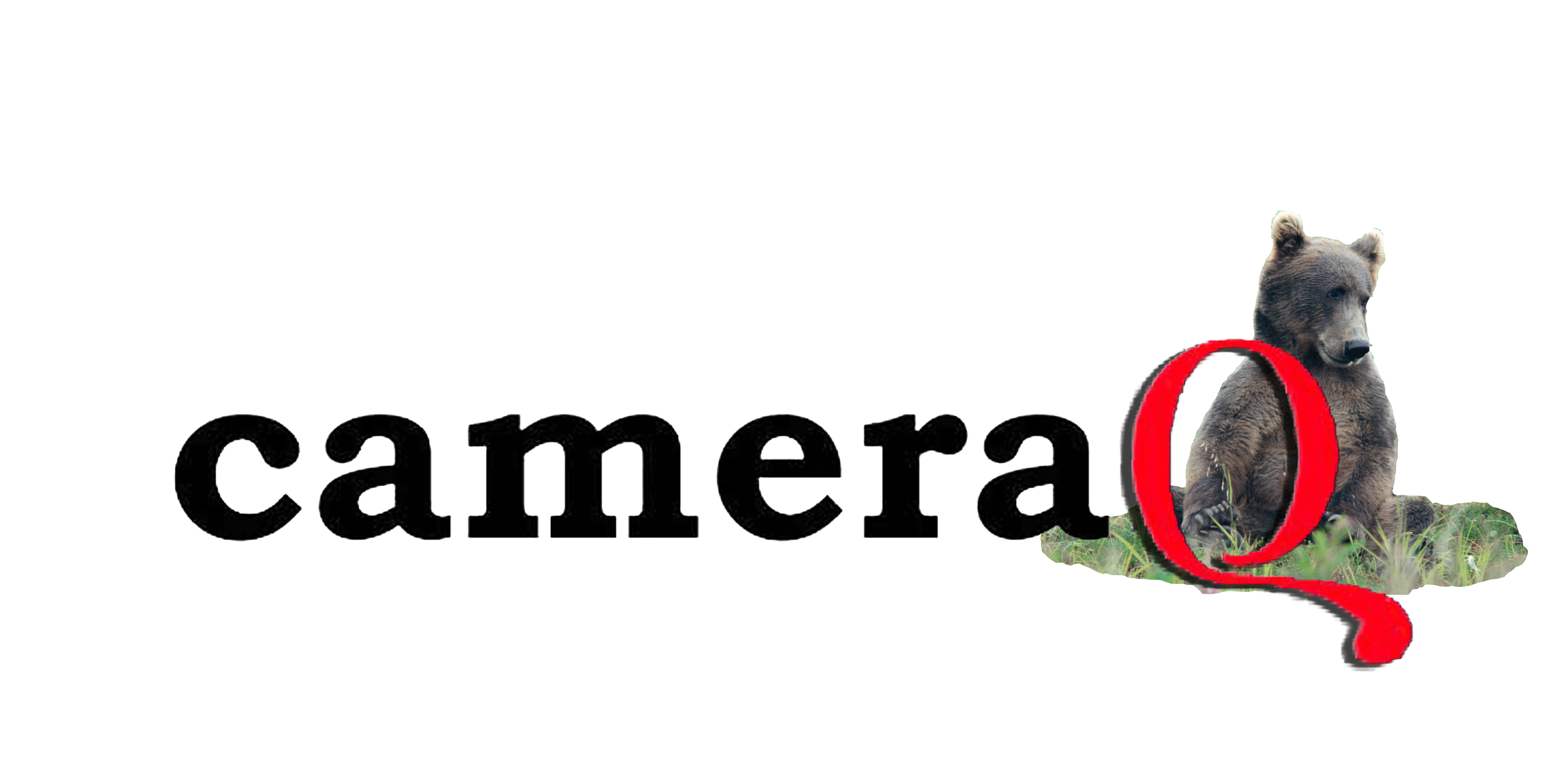 Camera Q logo