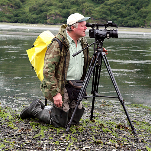 Stefan Quinth wildlife & documentary film maker