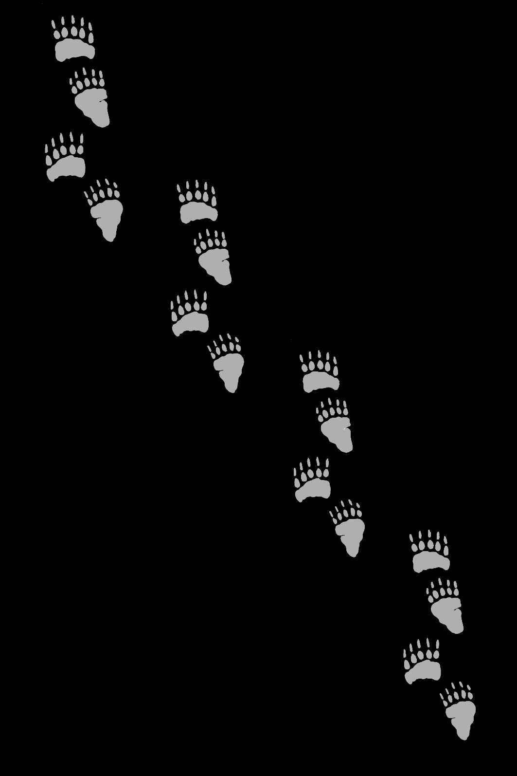 background picture black with grey bear paw prints