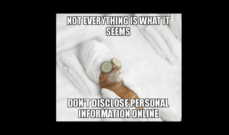 The Only Information Disclosure Guide You Ll Ever Need - Best Nature Designs in Full HD