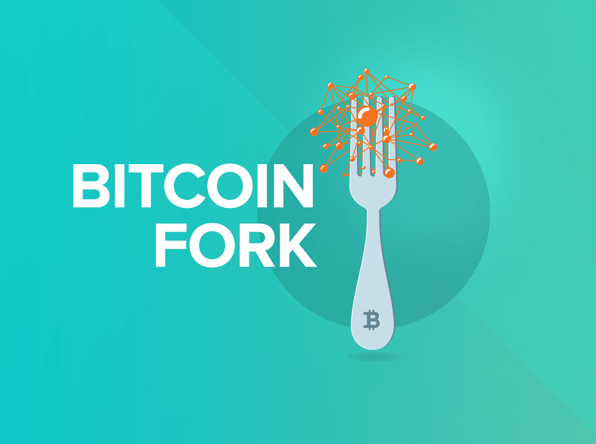 The easiest way to explain this is to use an example: Bitcoin Fork Explained