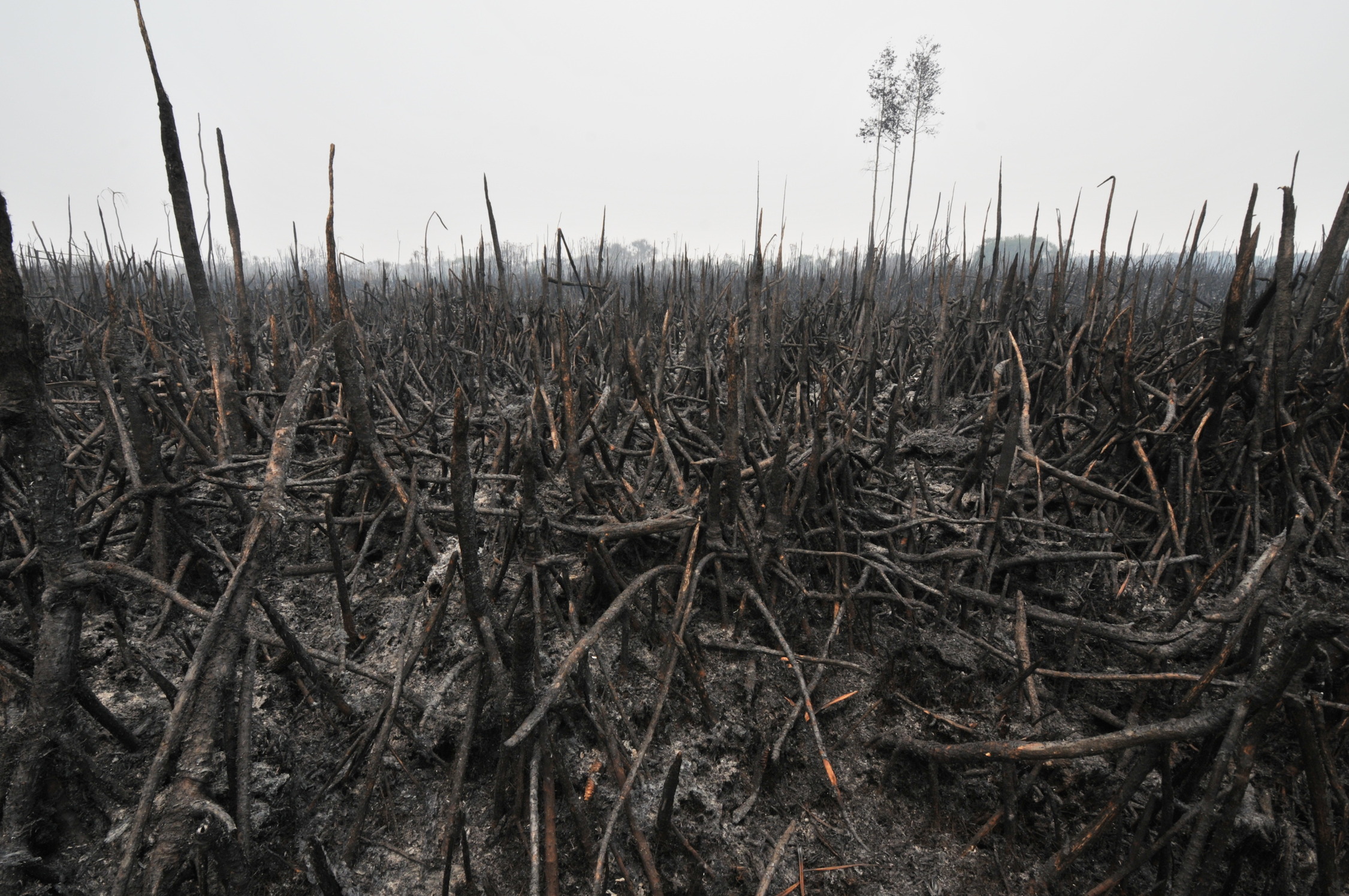 Work to avoid further fires starts now