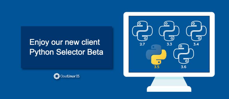 27 11 2016 Python Selector Servercake - Stunning Light Texture - 8K