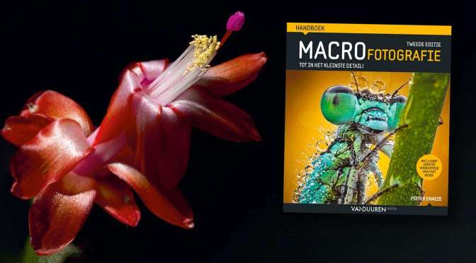 Samenvoegen van foto’s gemaakt voor focus stacking