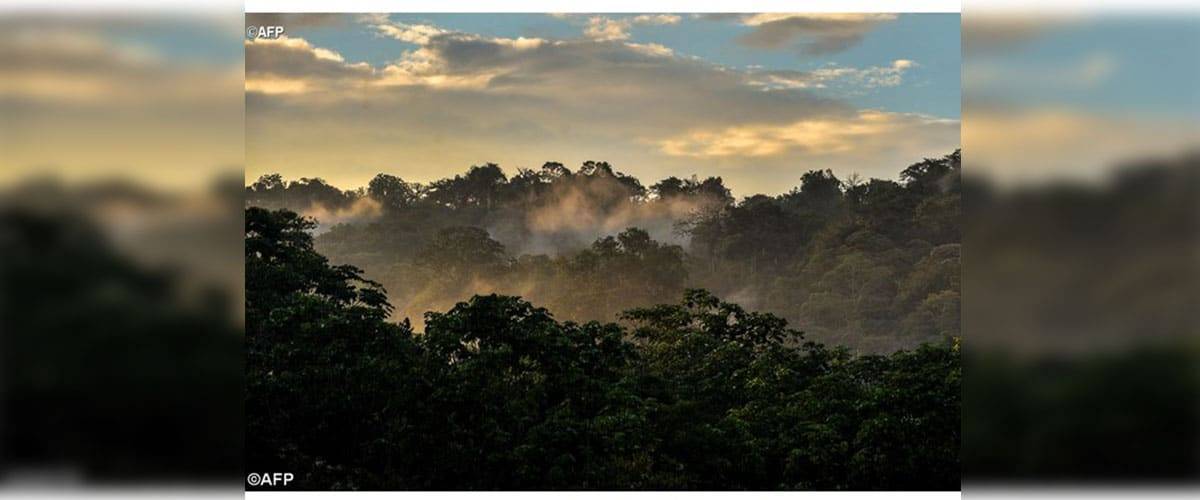 Dia da Criação: Em defesa do ambiente e dos pobres