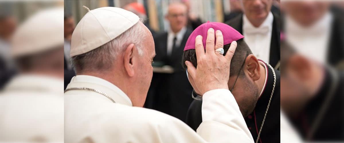 Novos bispos brasileiros comentam audiência com o Papa