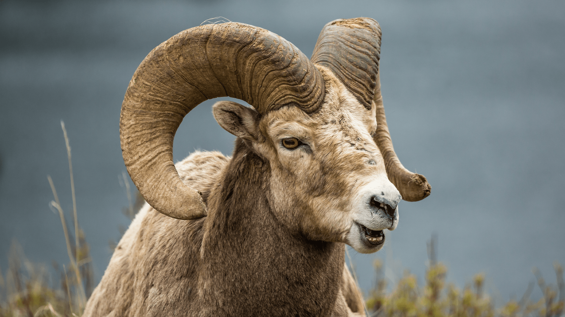 Digging Deeper Into Scripture James 3 1 12 - Premium Space Pattern Gallery - Ultra HD