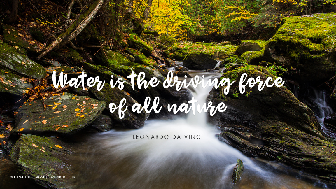 Eight quotes that illustrate why water is life