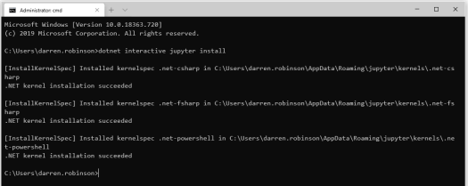 Install dotnet interactive jupyter