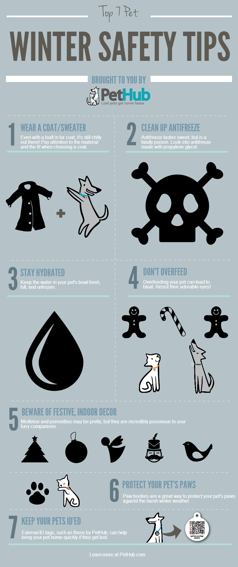 Top 7 ways to protect your pet this winter