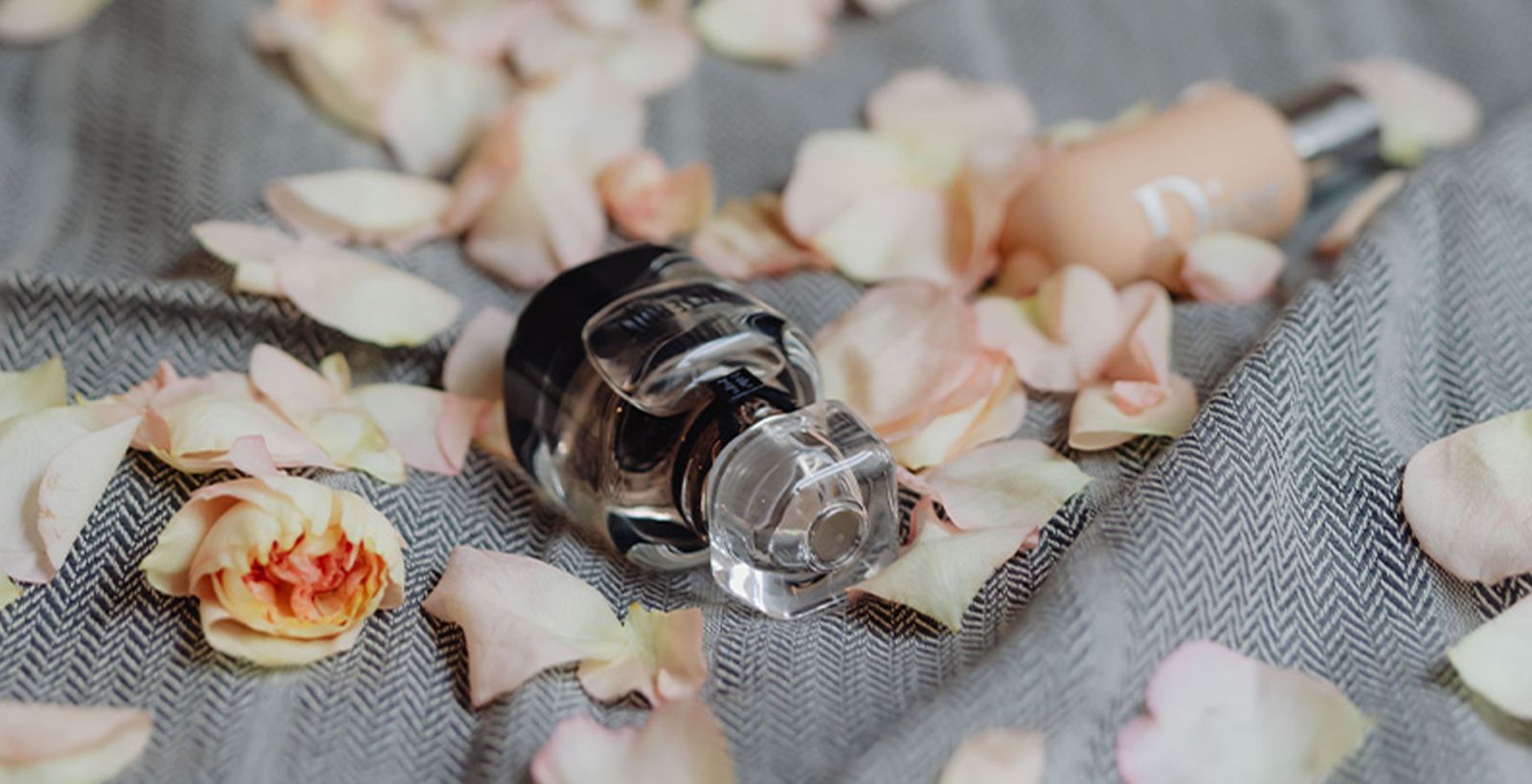 What are the different types of perfume Dossier Blog