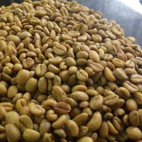biji kopi excelsa via tokopedia ala duniamasak