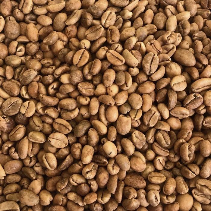 biji kopi excelsa via tokopedia wonosalam premium ala duniamasak